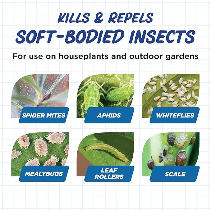 Earth's Ally Insect Control Concentrate for Plants 32 oz | Safe Outdoor & Indoor Plant Insecticide, Spider Mite, Aphid & Mealybug Killer - for Organic Garden & Household Plants-VerdiqueGarden