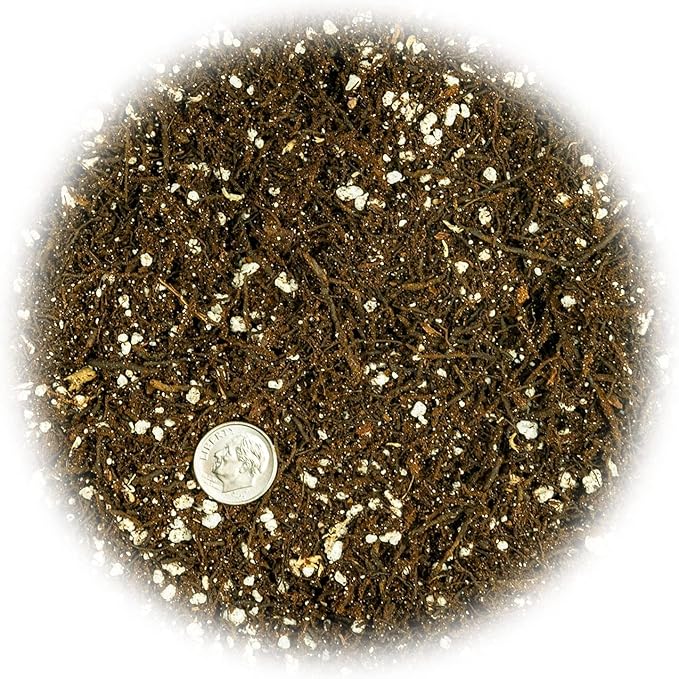 Fern + Perlite Soil Mix - 10 Quart - for Repotting and Planting Succulents and Cactuses (4 Bags of 5 Quart)-VerdiqueGarden