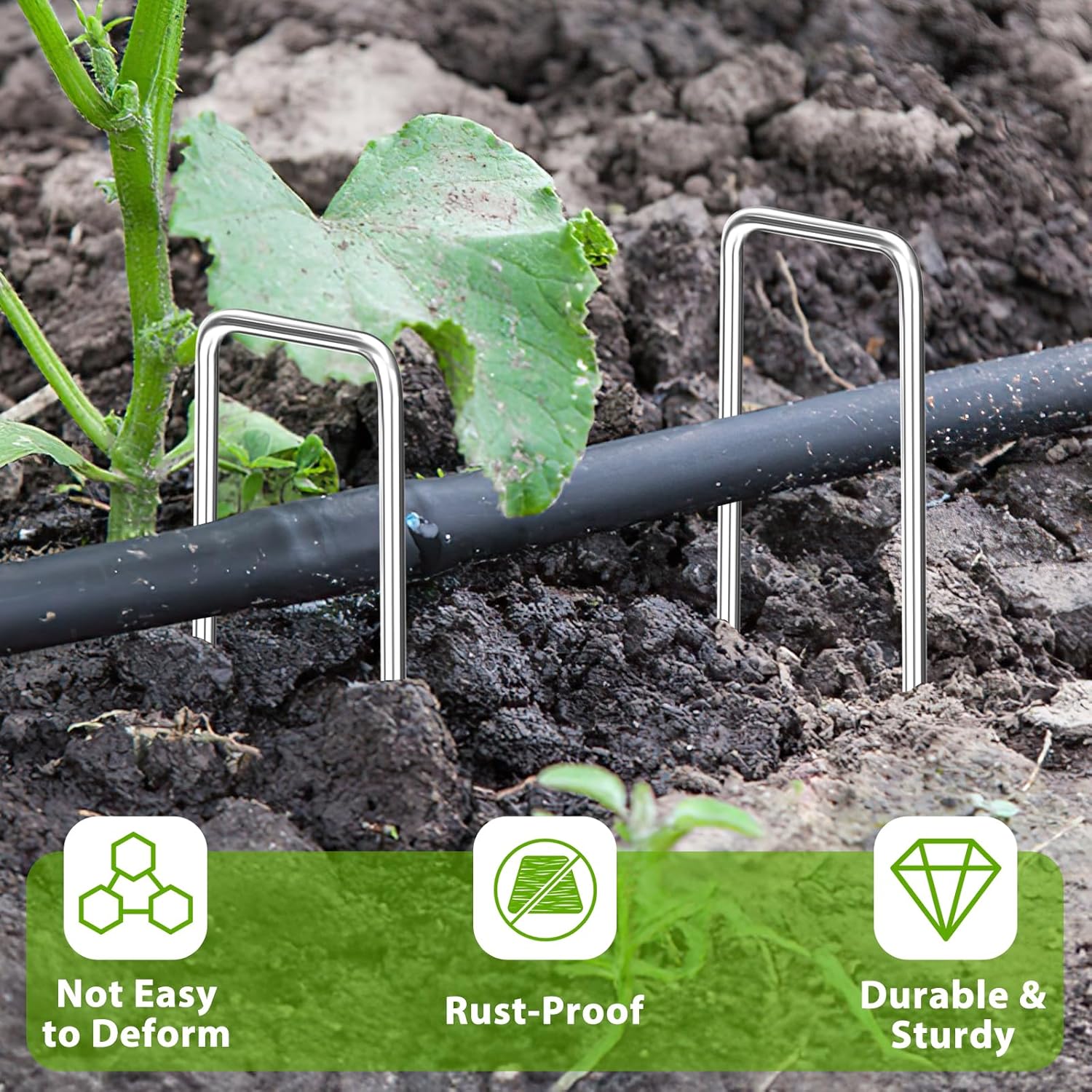 Landscape Staples 12 Inch, 100 Pack 8 Gauge Galvanized Garden Staples U-Shaped Landscape Stakes, Heavy Duty Ground Stakes for Outdoor Decorations, Weed Barrier Fabric, Irigation Tubing, Tent-VerdiqueGarden