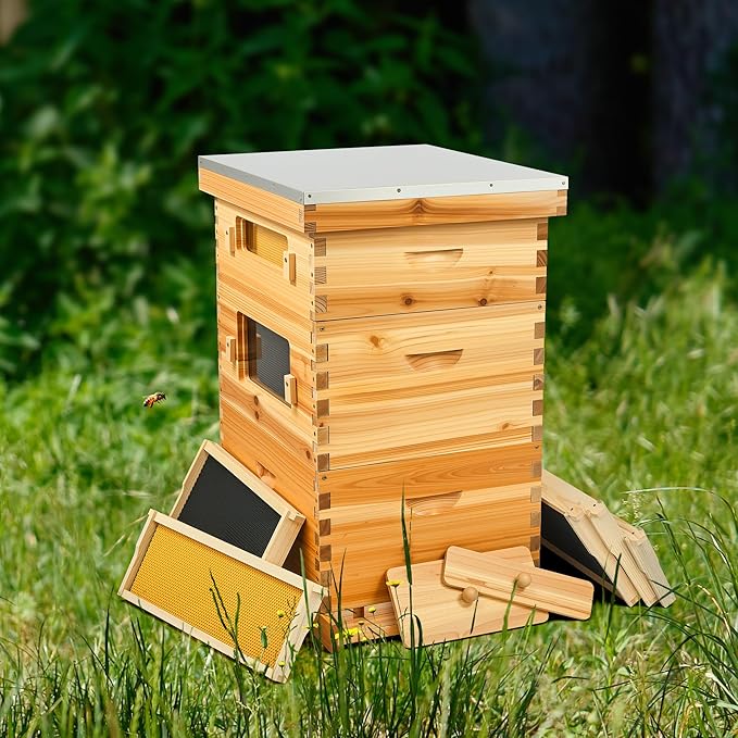 CREWORKS 10 Frame Bee Hive, 3 Layers Beeswax Coated Beehive Starter Kit with Frames & Foundations, Langstroth Bees Hives Box with Transparent Acrylic (Window Medium Box & 2 Deep Boxes)-VerdiqueGarden