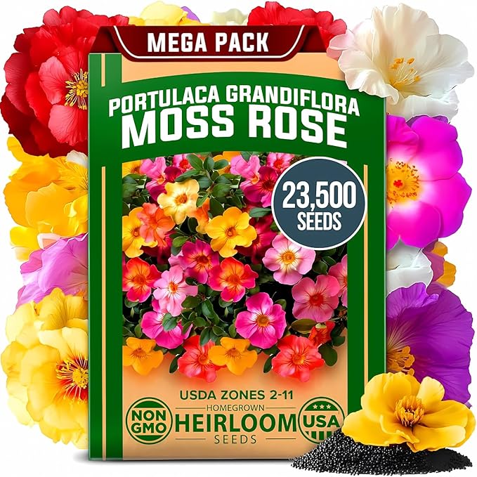 HOME GROWN 23,500+ Moss Rose Seeds (Bulk Pack) Annual Flower for Ground Cover - Heirloom 𝗡𝗢𝗡-𝗚𝗠𝗢 Portulaca Seeds for Planting Outdoors - Great for Low-Maintenance Gardens (Portulaca grandiflora)-VerdiqueGarden