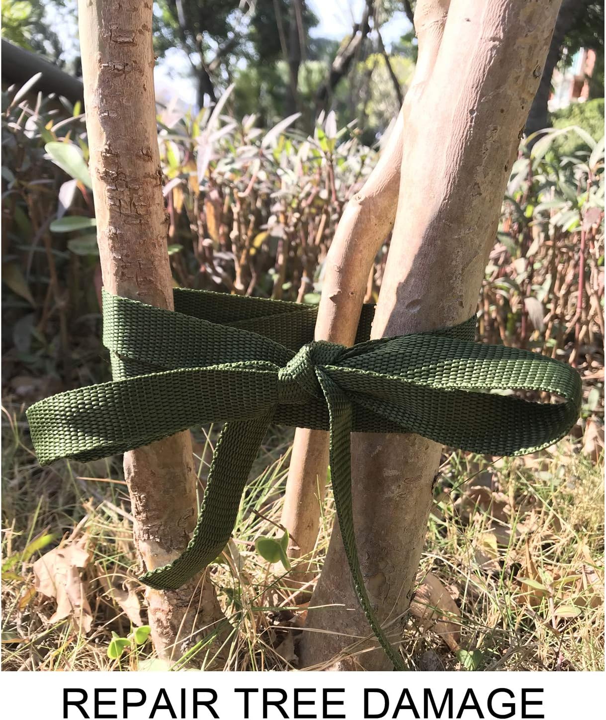 80 Feet Tree Tie Strap 1 Inch Tree Support Ties 1,980Lbs Strength Green Staking and Guying Material Plant Tie Garden Tie Green Tree Tie Rope for Outdoor Use, Straightening Supplies-VerdiqueGarden