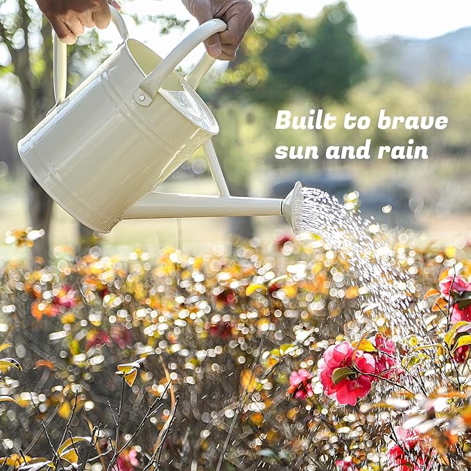 1 Gallon Watering Can for Plants, Watering Cans for Indoor&Outdoor Gardening, Galvanized Steel Watering Pot with Removable Spout, Metal Water Can with Ergonomic Movable Handle(White)-VerdiqueGarden