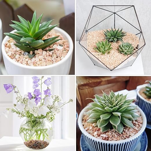 10lbs Peach Pebbles for Plants, 3/8inch Small Rocks for Succulent Cactus Plants, Natural Polished Pebbles, River Rocks for Plants, Vases, Garden-VerdiqueGarden