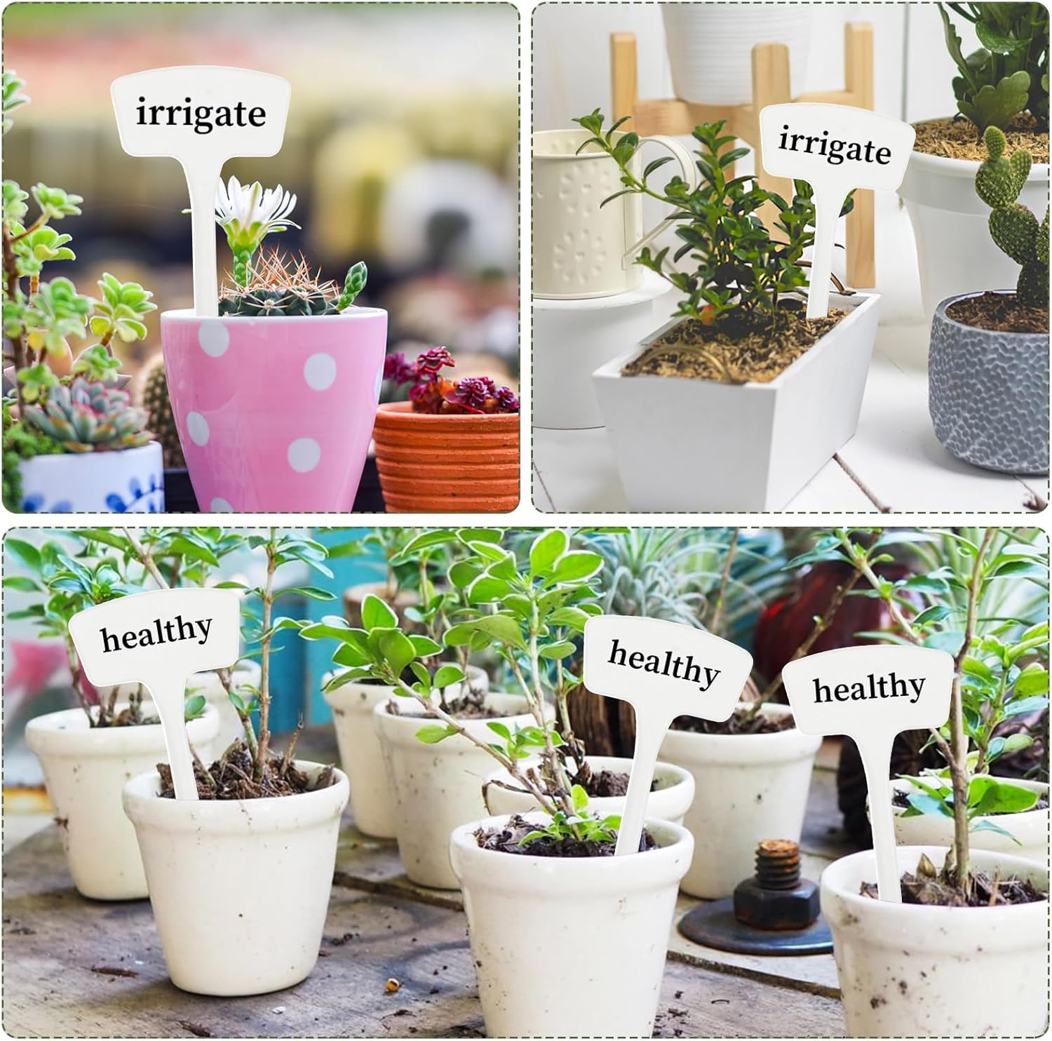 100 Pcs Plant Labels,T-Type 10.63inch Large Plastic Plant Tags Waterproof Plant Makers Nursery Garden Labels for Outdoor Indoor Plants Herbs Flowers Vegetable Potted Belt Marker Pen (White)-VerdiqueGarden