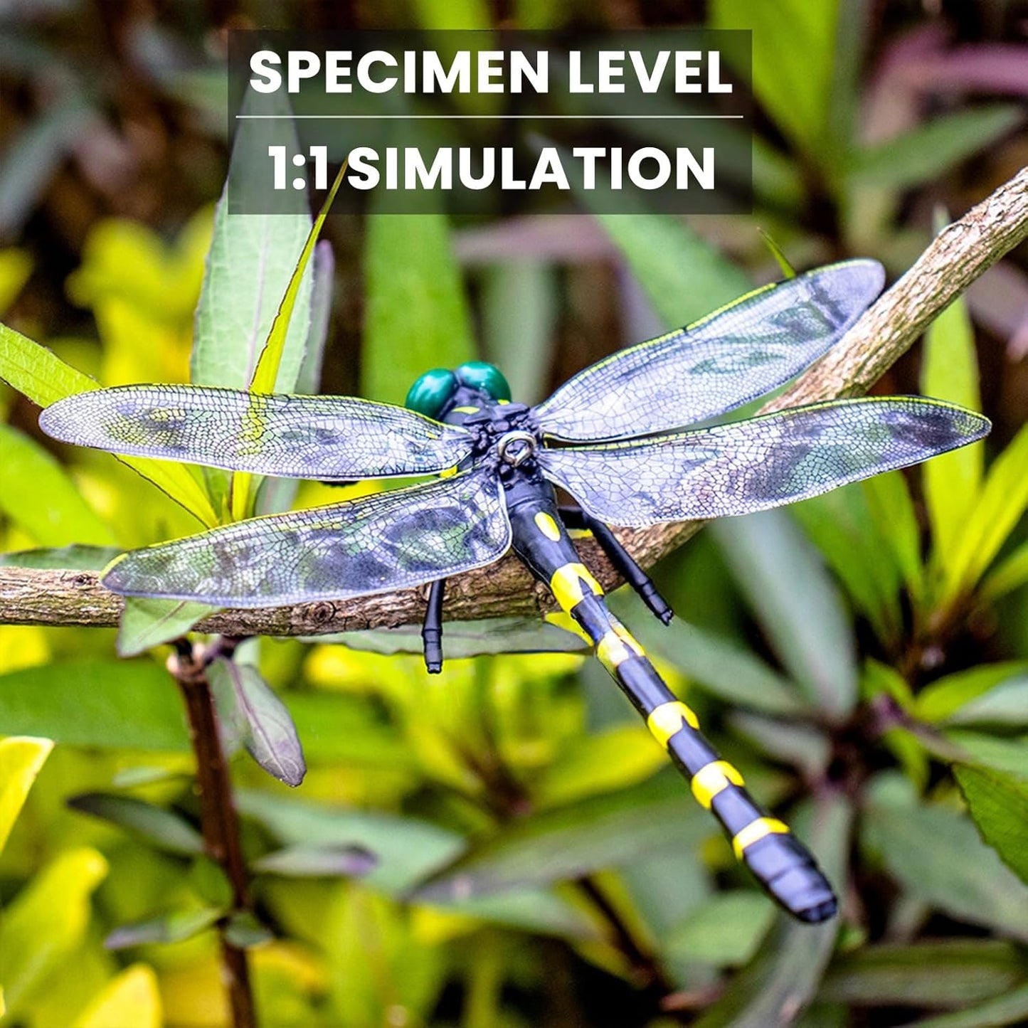 2 Pcs Dragon Fly Clips for Bugs Repellent, 3D Artificial Dragonfly Hat Clip, Dragonfly Garden Decor (Independent Dragon Fly 2 Pcs)-VerdiqueGarden