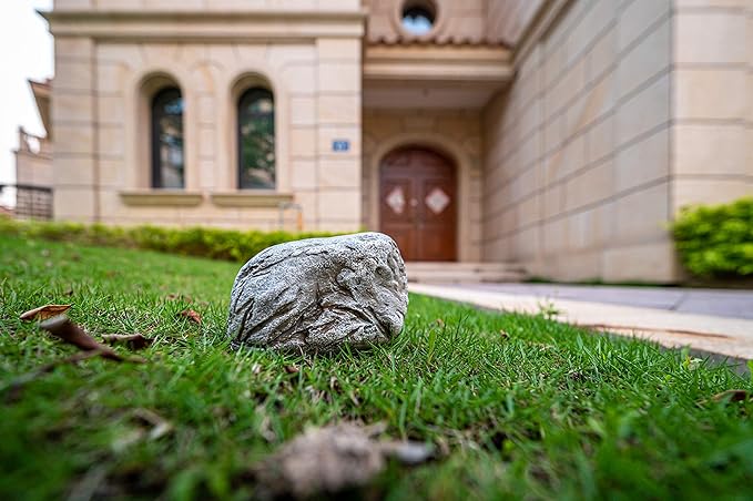 Hide-A-Key Fake Rock Security Safe Storage,Looks and Feels Like a Real Rock Spare Key,Safely Hiking Your Spare Key Outdoor,Yard or Garden Diversion Safes,Outdoor Statue.-VerdiqueGarden