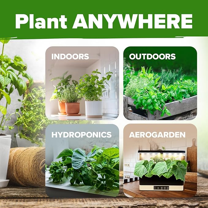 HOME GROWN 20 Herb Seeds for Planting 6,000+ Non-GMO Heirloom Seeds | Extra Large Variety Pack Herb Kit – Indoor Outdoor & Hydroponic | Culinary Seed Set | Grow Your Own Herbs | Gardening Gift-VerdiqueGarden