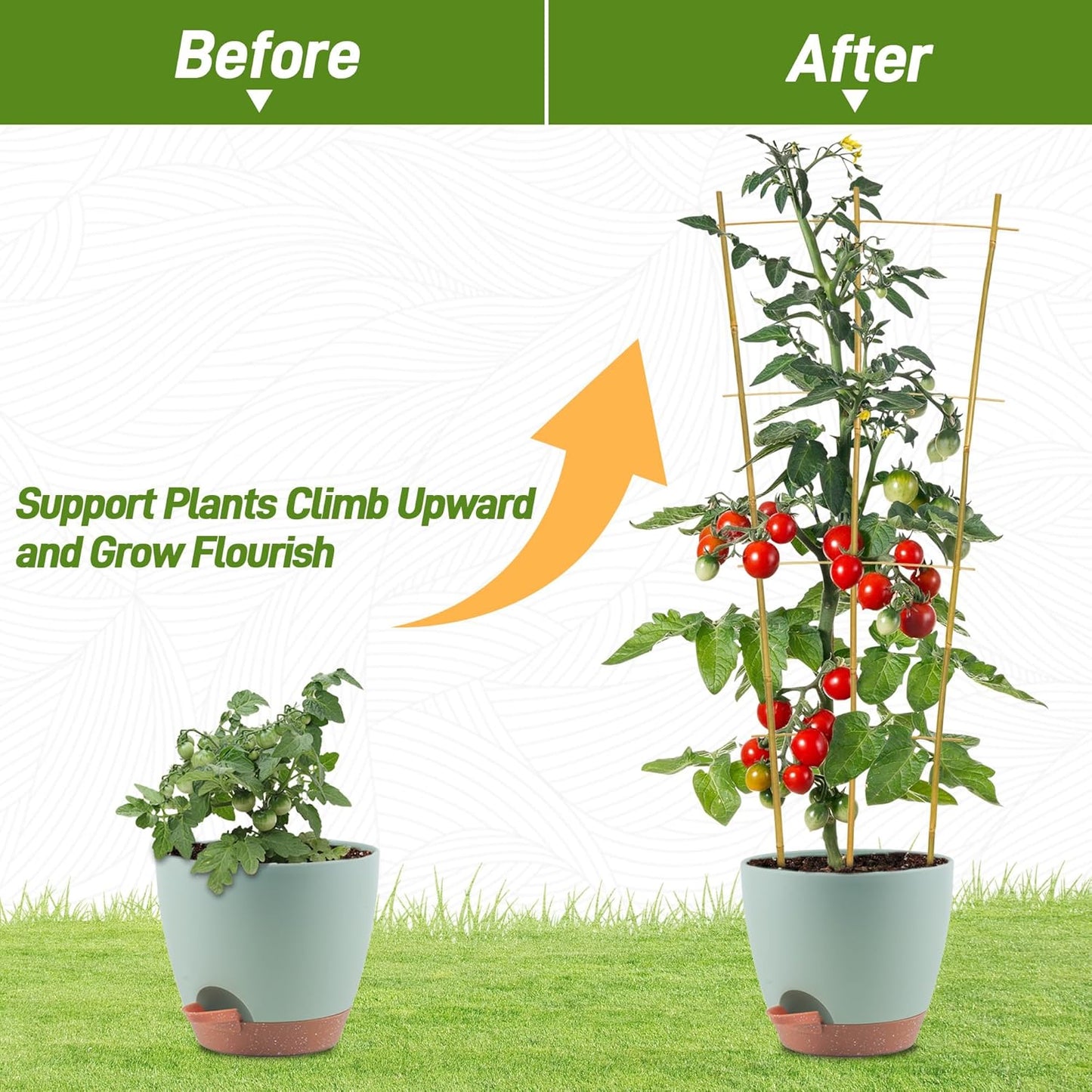 Avalution 10 Pack Bamboo Trellis for Climbing Plants, 3 FT Garden Ladder Trellis for Potted Plants Indoor, Fan-Shaped Small Plant Support Trellis for Houseplants Ivy Hoya Vine Monstera-VerdiqueGarden