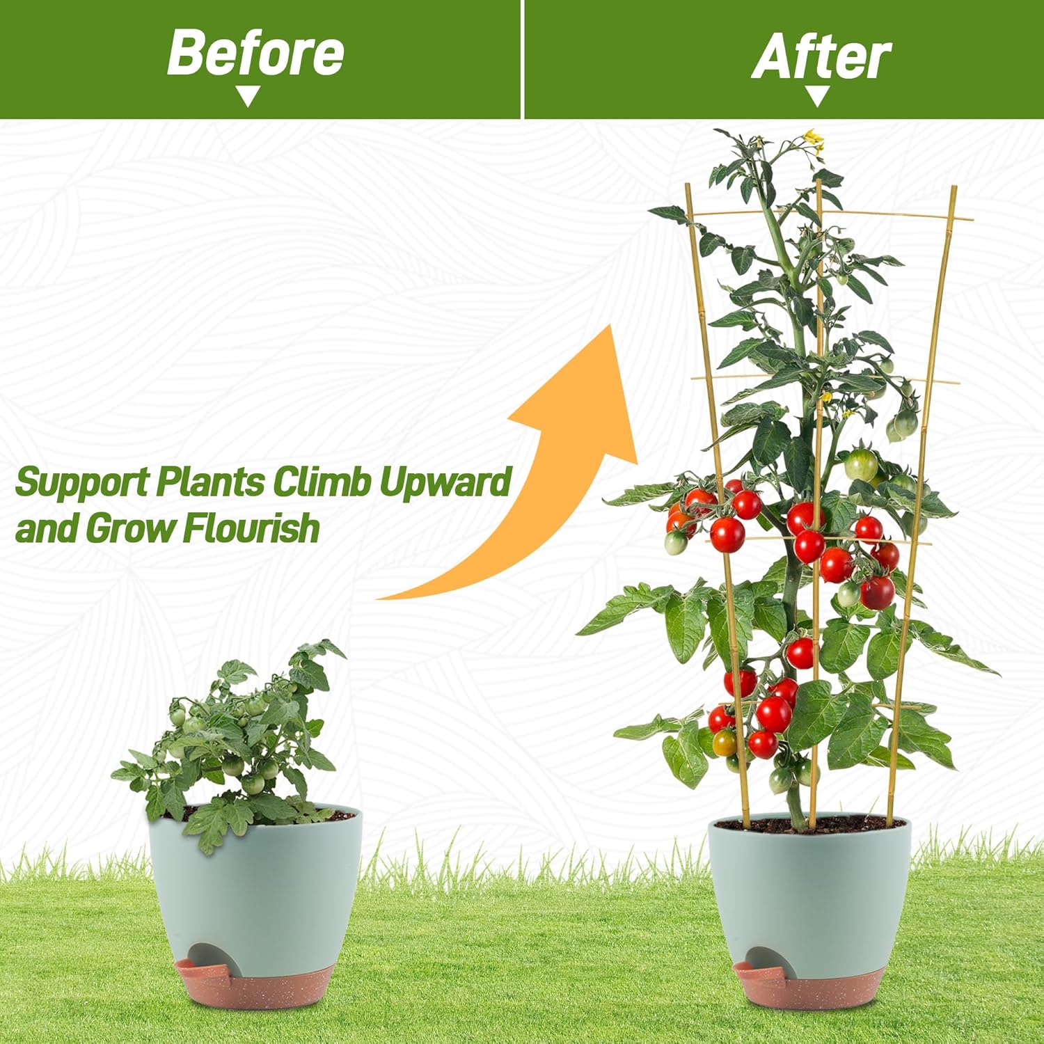 Avalution 10 Pack Bamboo Trellis for Climbing Plants, 3 FT Garden Ladder Trellis for Potted Plants Indoor, Fan-Shaped Small Plant Support Trellis for Houseplants Ivy Hoya Vine Monstera-VerdiqueGarden