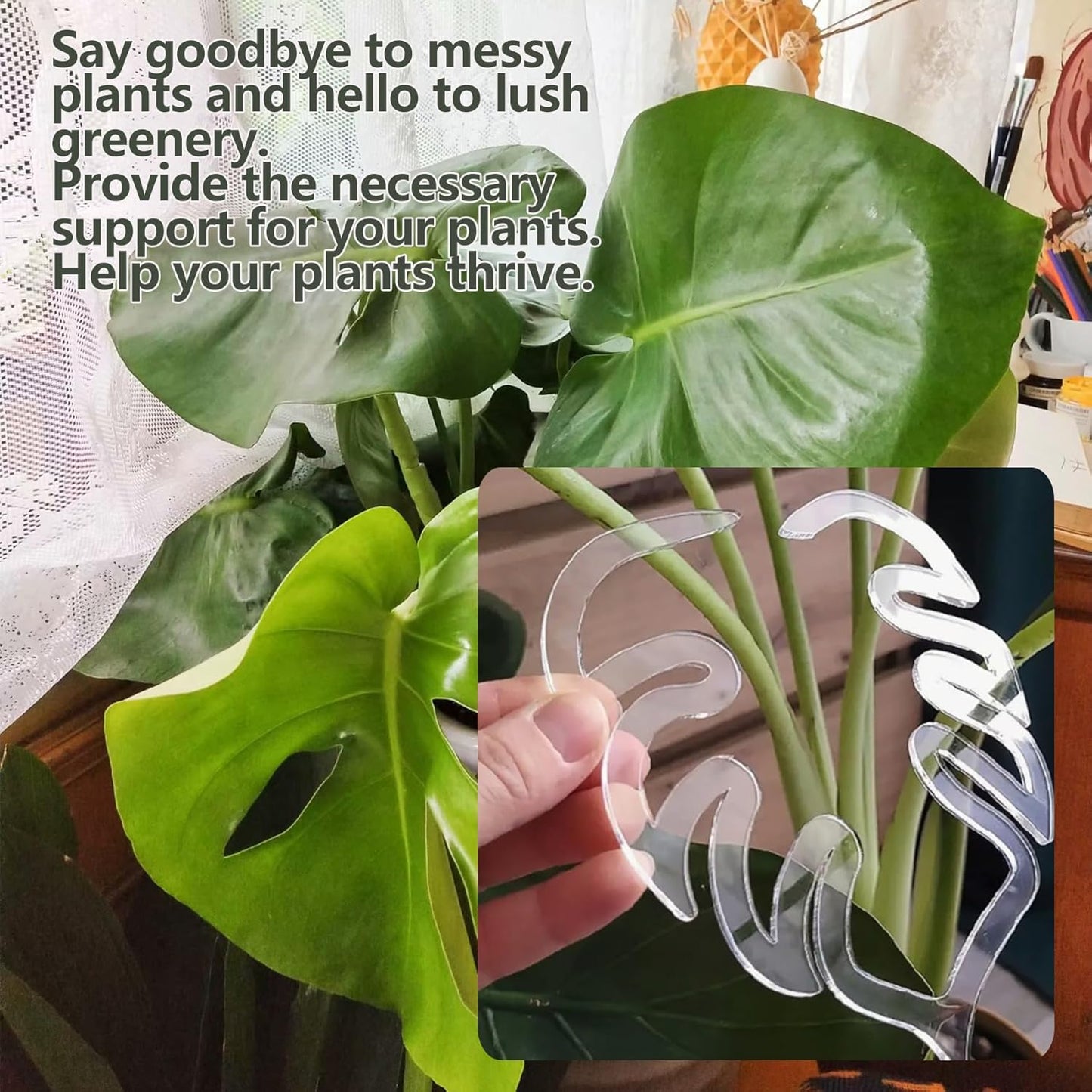 2PCS Plant Stem Support , Acrylic Monstera Stabilizer Grapple Holder Unique Design for Climbing Plants, Turtle Shell Bamboo Clamp Set, Ideal Plant Support for Thriving Growth Indoor Outdoor Plants-VerdiqueGarden