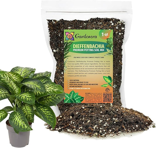 Premium DIEFFENBACHIA Potting Soil Mix - Ideal for Growing Robust and Healthy Dieffenbachia - 1 Quart-VerdiqueGarden