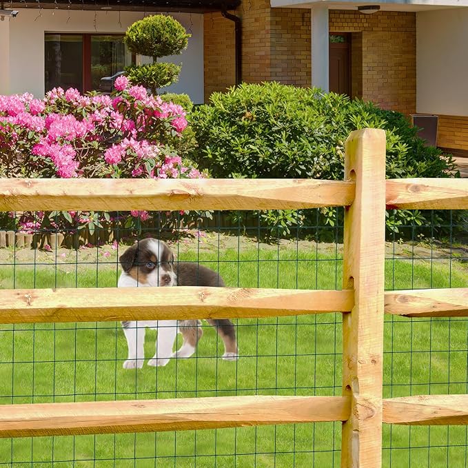 Green PVC Coated Welded Wire Fence 48 Inch x 25 Foot, 2 Inch x 3 Inch 16GA, Garden Border Fencing Roll Vinyl Coating Metal Wire Mesh for Yard Vegetable Plant Protection Poultry Netting-VerdiqueGarden