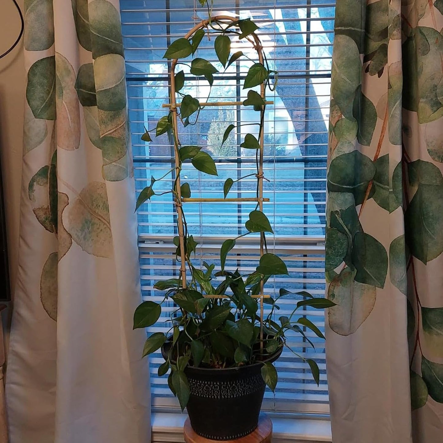 10 Pack 4ft U-Shape Bamboo Trellis for Climbing Plants, Natural Garden Trellis for Tomatoes, Cucumbers, Potted Plants, Vegetables Indoor Outdoor-VerdiqueGarden