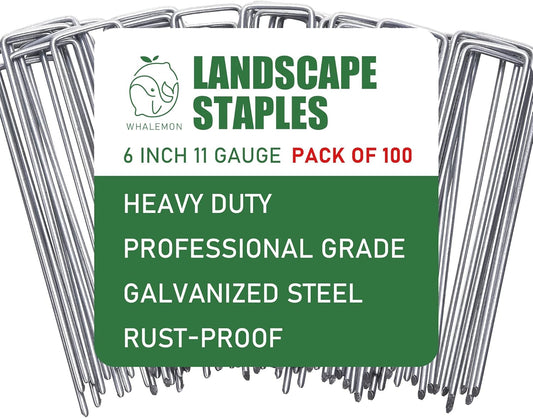 100 Pack Landscape Staples 6 Inches 11 Gauge Stakes, Galvanized Garden Stakes U-Shaped Pins and Landscaping Staples for Sod Anchoring Landscape Fabric Irrigation Tubing-VerdiqueGarden