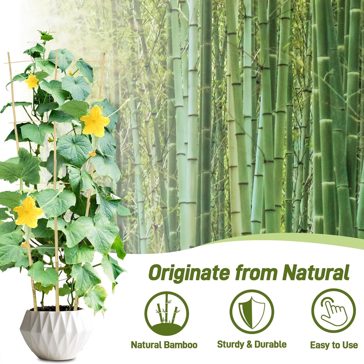 Avalution 10 Pack Bamboo Trellis for Climbing Plants, 4 FT Garden Ladder Trellis for Potted Plants Indoor, Fan-Shaped Small Plant Support Trellis for Houseplants Ivy Hoya Vine Monstera-VerdiqueGarden