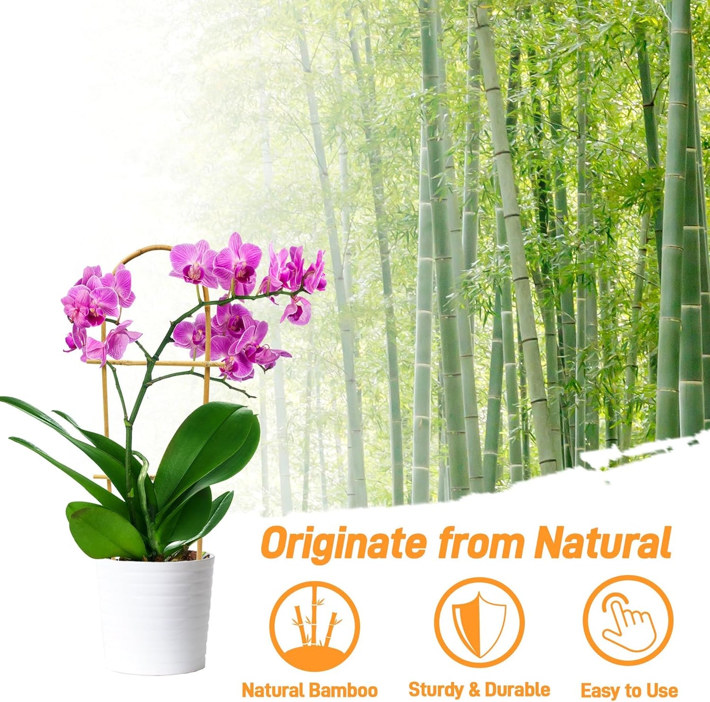 Avalution 10 Pack Bamboo U Trellis for Climbing Plants, 2ft Garden Ladder Trellis for Potted Plants Indoor, Ladder Small Plant Support Trellis for Houseplants Ivy Hoya Vine Monstera-VerdiqueGarden