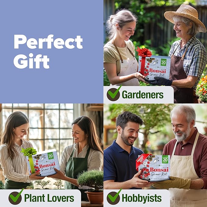 HOME GROWN Bonsai Tree Kit - Premium Ceramic Starter Kit - 4 Variety of Bonsai - Unique Gift for Men and Women Gardeners (BK2-2nd-MF)-VerdiqueGarden