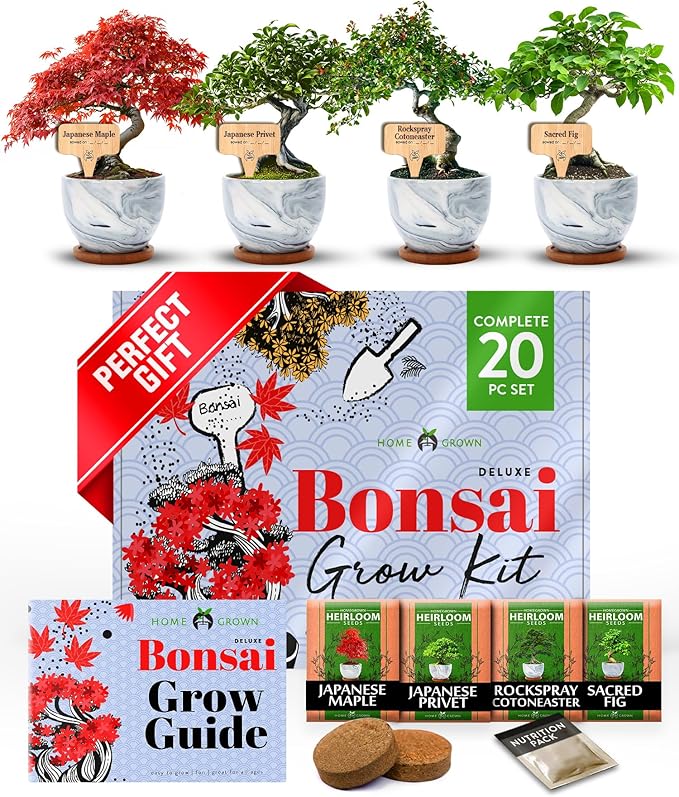 HOME GROWN Bonsai Tree Kit - Premium Ceramic Starter Kit - 4 Variety of Bonsai - Unique Gift for Men and Women Gardeners (BK2-2nd-MF)-VerdiqueGarden
