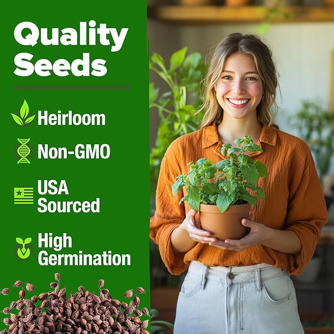 HOME GROWN 𝗨𝗦𝗔 𝗣𝗥𝗘𝗠𝗜𝗨𝗠 Catnip Seeds (Bulk Pack) 𝗡𝗢𝗡-𝗚𝗠𝗢 Heirloom Herb 2,116 Seeds - Indoor or Outdoor Seed - High-Germination Cat Nip - Cat Safe Plants (Nepeta cataria)-VerdiqueGarden
