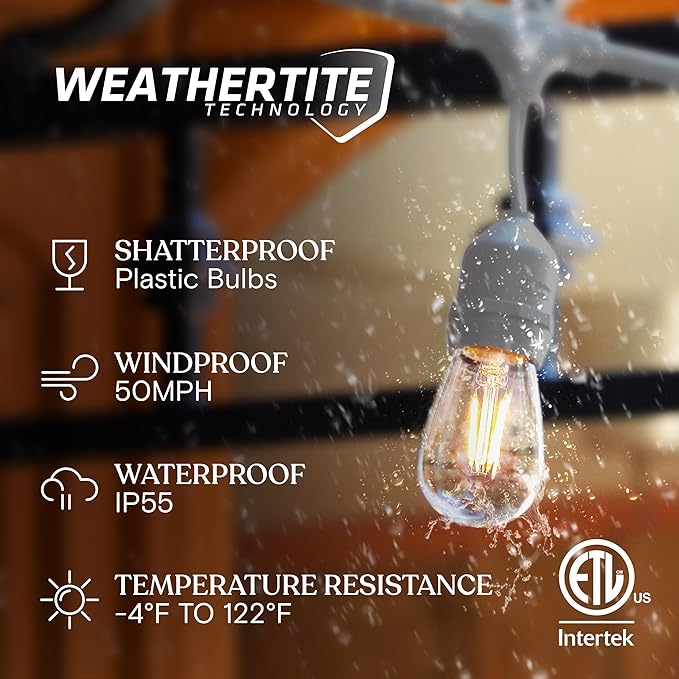 Brightech Ambience Pro Waterproof LED Outdoor String Lights, 48 Ft, Hanging, Dimmable Vintage Edison Bulbs, 15 Bulbs, 2W-VerdiqueGarden