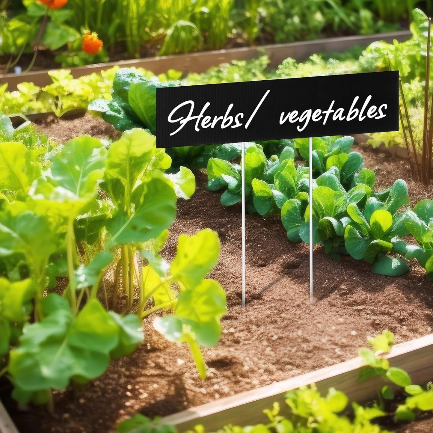 10 Set Jumbo Outdoor Plant Label Stakes Waterproof Nursery Garden Markers Plastic T Type Plant Tag Identification Stake with Marker Pen for Herb Vegetable Flowers, 12" High (Black)-VerdiqueGarden