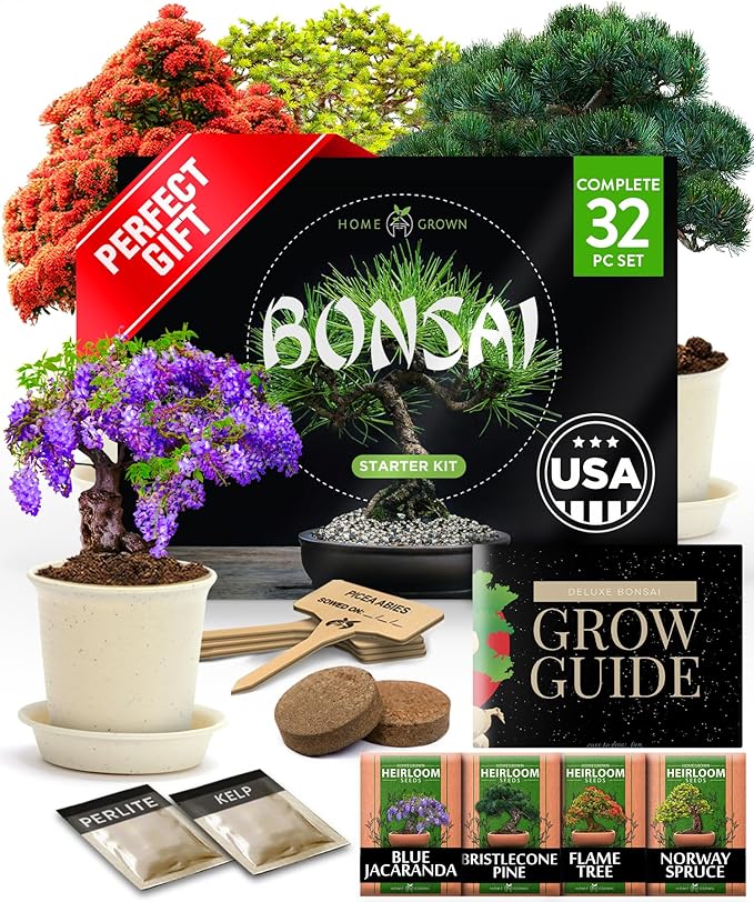 Bonsai Tree Kit - Gifts for Men & Women - Grow 4 Bonsai Trees - Unique Gardening Crafts for Adults, DIY Hobbies for Plant Lovers & Gardeners - Unusual Christmas Gift Ideas for Mom & Dad-VerdiqueGarden