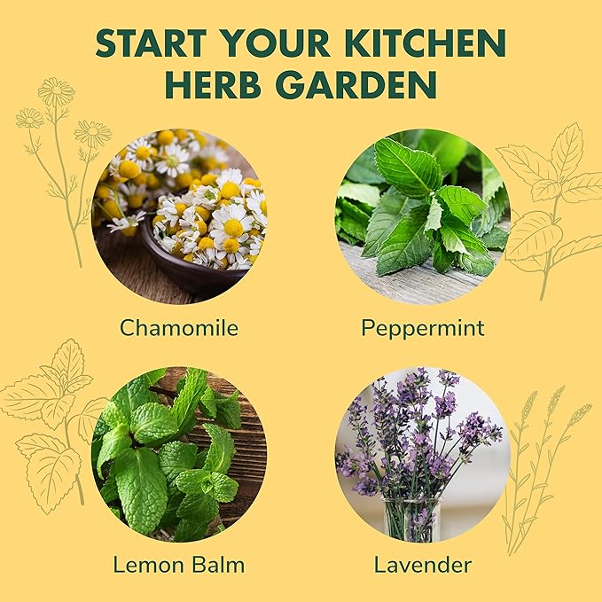 Indoor Herb Garden Seed Starter Kit - Herbal Tea Growing Kits, Grow Medicinal Herbs Indoors, Seeds for Planting, Soil, Plant Markers, Pots, Infuser, Planter Box, Gardening Gifts for Women-VerdiqueGarden