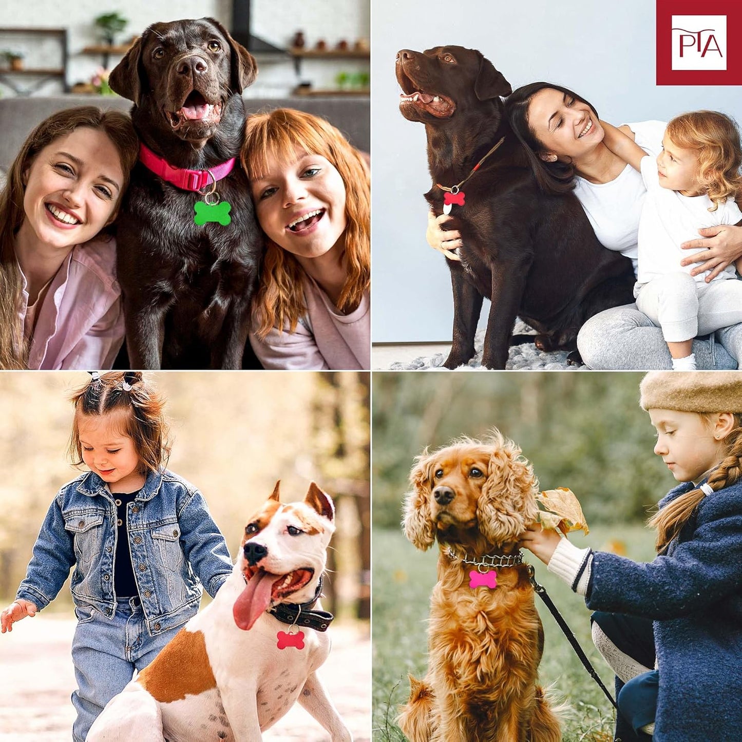 [Press TX Art] 40 Pcs Round(Circle), Bone, Rectangle, Heart Anodized Aluminum Stamping Blanks Tags 10 Mixed Colors Metal Engraving ID Name Tags with Rings (Bone in 10 Colors)-VerdiqueGarden