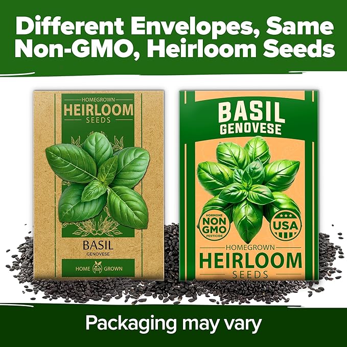 HOME GROWN 𝗨𝗦𝗔 𝗣𝗥𝗘𝗠𝗜𝗨𝗠 Genovese Basil Seeds Pack 1,750+ High Germination 𝗡𝗢𝗡-𝗚𝗠𝗢 Heirloom Seeds (Ocimum basilicum) Herb Seeds for Planting Indoor & Outdoor Gardening, for Culinary Use-VerdiqueGarden