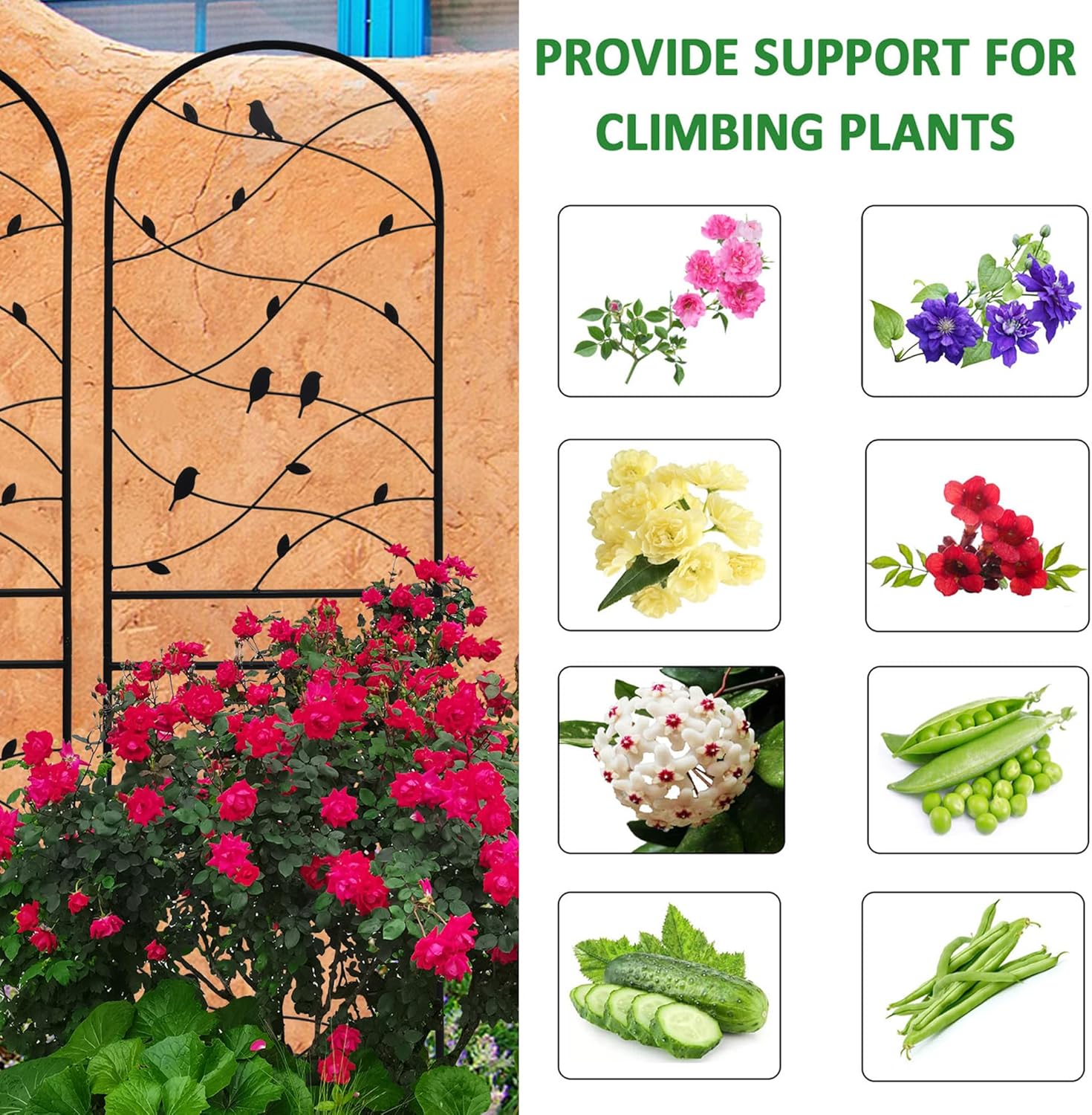 4 Pack Metal Garden Trellis 71" Tall Outdoor Climbing Plant Support for Roses, Flowers, Rustproof Durable Black Galvanized Tube, Lawn Garden Fence Decor Screen (4, Black birds-71 H)-VerdiqueGarden