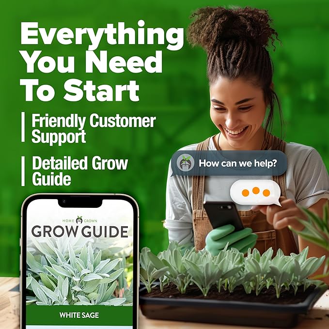 HOME GROWN 𝗨𝗦𝗔 𝗣𝗥𝗘𝗠𝗜𝗨𝗠 White Sage Seeds 323 Pack 𝗡𝗢𝗡-𝗚𝗠𝗢 Heirloom Seeds - Grow Aromatic Sage Plants for Your Herb Seeds Garden with Sage for Planting Outdoor or Indoor (Salvia apiana)-VerdiqueGarden