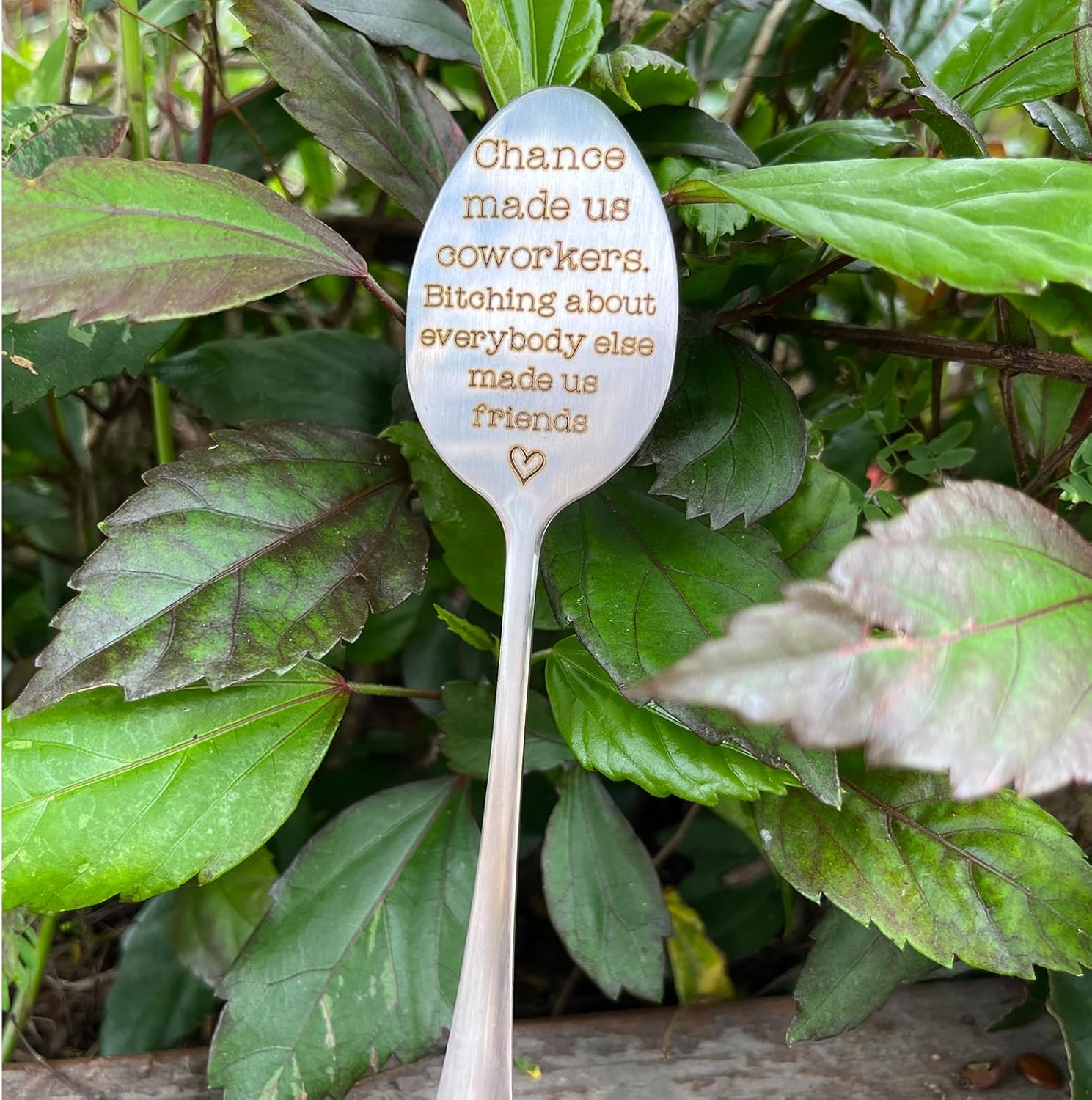 Garden Plant Marker Friendship Gift for Women Gardeners, Plant Stake Label Sign Tag Gardening Gifts for Woman Plant Lovers, Metal Garden Decoration (Made Us Friends)-VerdiqueGarden