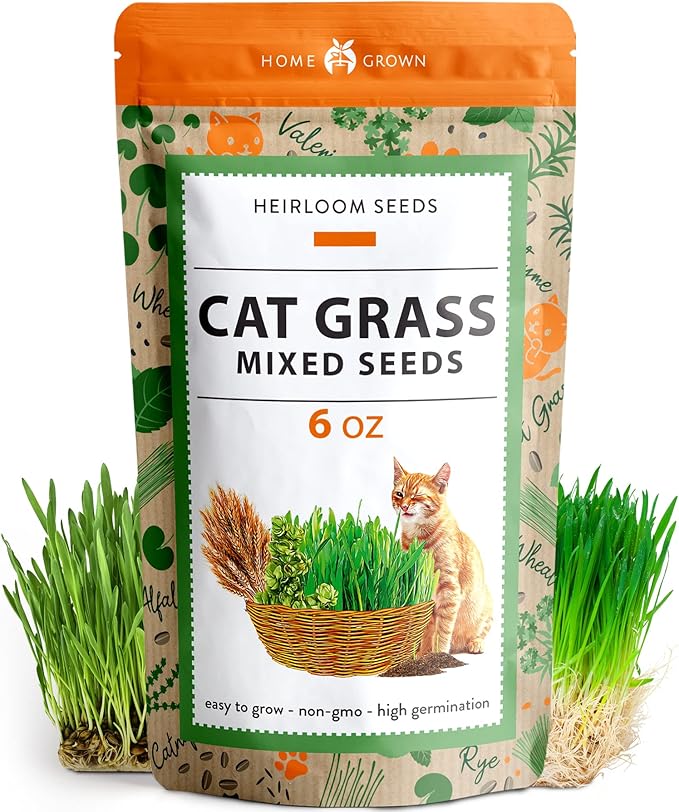 HOME GROWN 30,000+Cat Grass Seeds (6oz) 𝗡𝗢𝗡-𝗚𝗠𝗢 𝗨𝗦𝗔 Heirloom Barley & Oat Mix – Refill for Indoor Cat Grass Growing Kit – Safe Healthy Green Grass for Cats – Pet Grass for Eating & Digestion-VerdiqueGarden