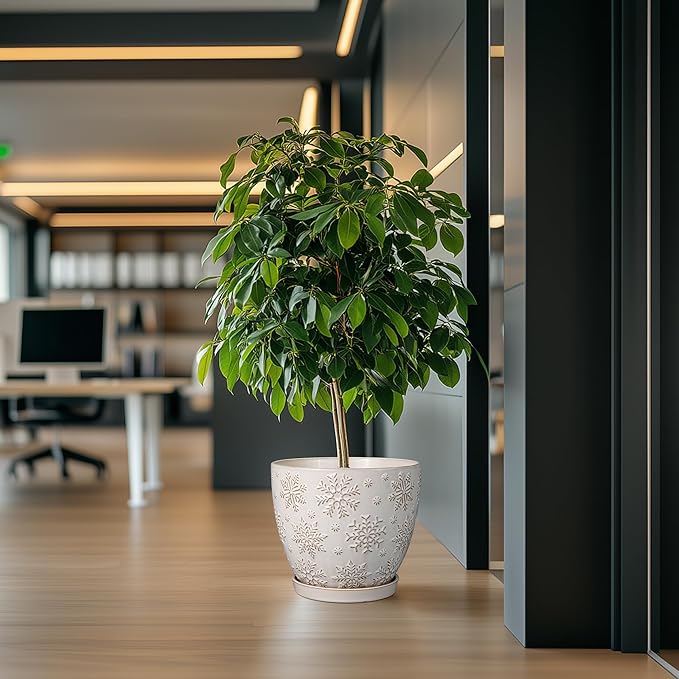 10 Inch Ceramic Planter Pot Large Plant Pot for Indoor Plants Outdoor Round Flower Pot with Drainage Hole and Saucer for Home Garden Decor White-VerdiqueGarden