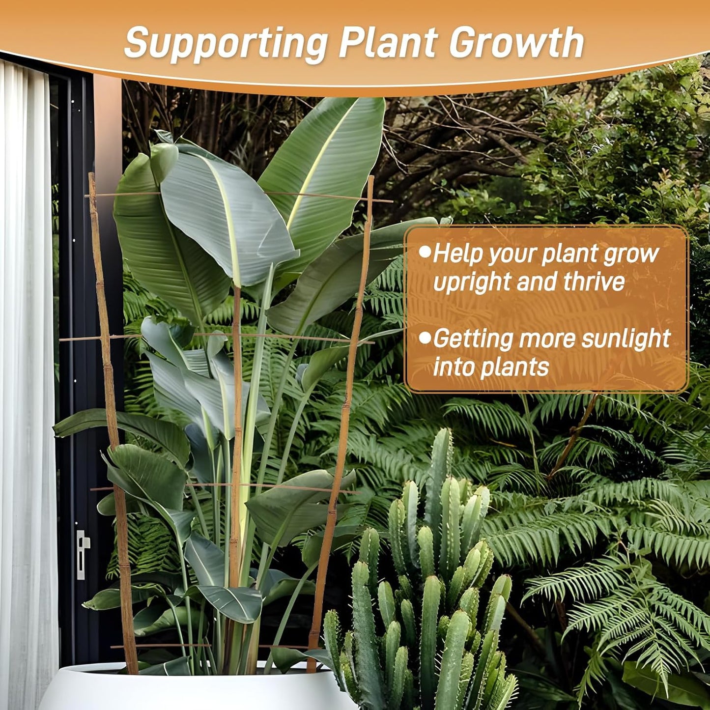 10 Pack 4ft Bamboo Trellis for Climbing Plants-Natural Garden Ladder Trellis, Fan -Shaped Support Trellis for Potted Plant Decor in Door-VerdiqueGarden