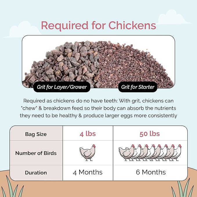Chicken Grit for Layer & Grower Chickens Age 8-20+ Weeks - 100% Natural Mineral Chicken Grit Quartzite, Poultry Grit, USA Mined, 4 lbs-VerdiqueGarden