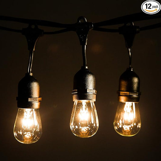 Hometown Evolution, Inc. 24 Foot E26 Outdoor Commercial String Lights with Suspended Socket for Weatherproof Heavy Duty Vintage Outside Lighting - Set of 12 S14 Clear Bulbs-VerdiqueGarden