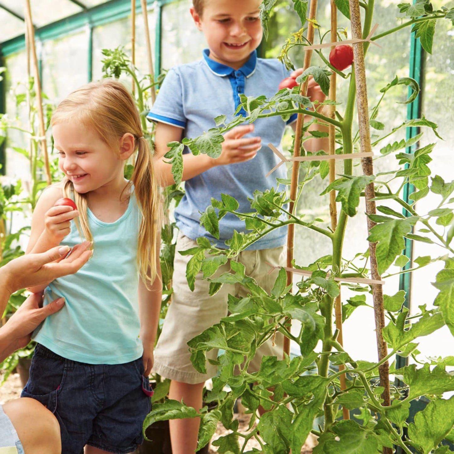 1000 Pcs Twist Ties, Kraft Paper Twist Ties Plant Ties Reusable Bread Ties for Party Cello Candy Coffee Treat Bags Cake Pops (13.8'')-VerdiqueGarden