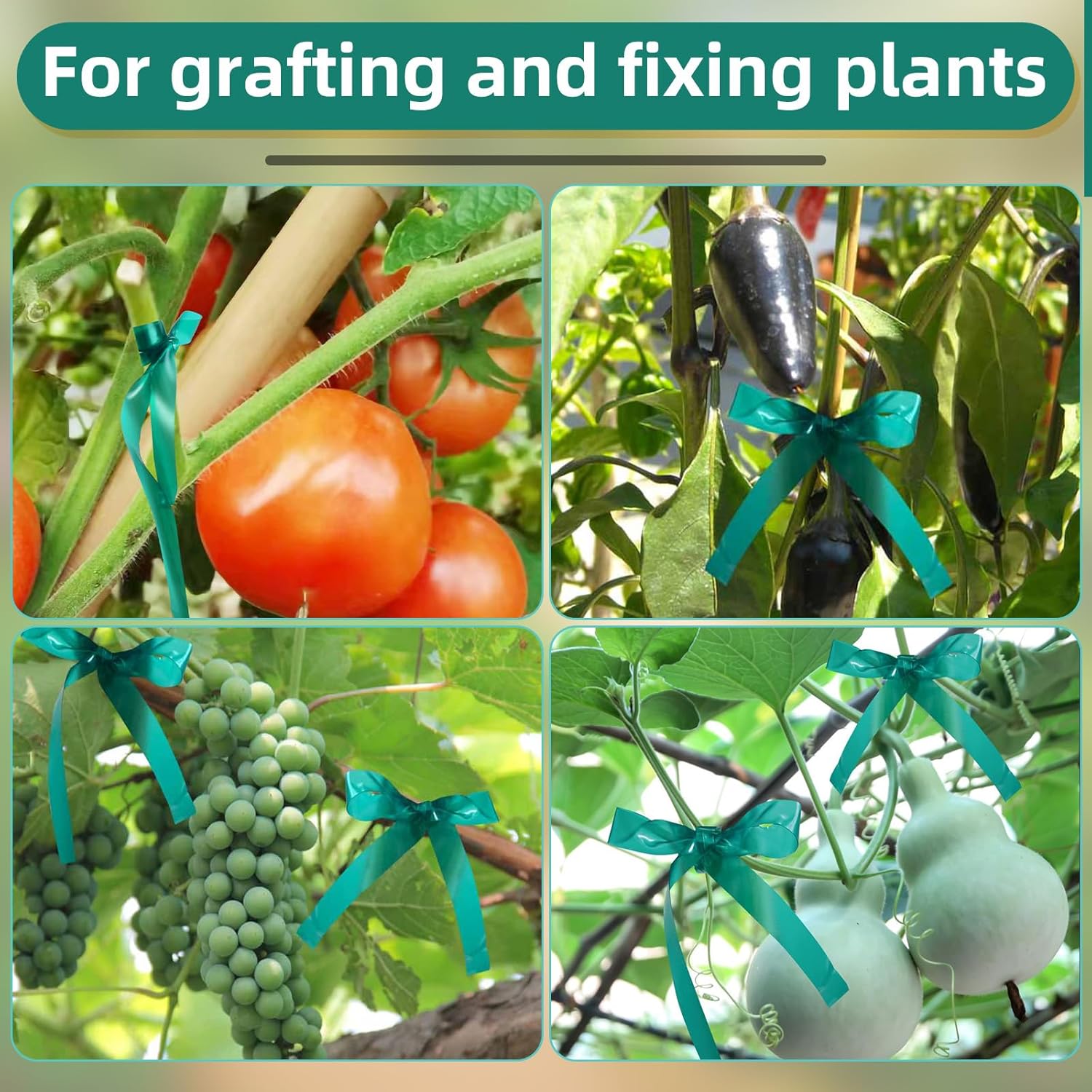 Plant Tape 10 Pack, Garden Tape and Plant Ties for Outdoor Plants, 200FT Length, 1/2 Inch Width, 150um Thickness, for Tomato Grape Vine Grafting, Vegetables Garden Use-VerdiqueGarden