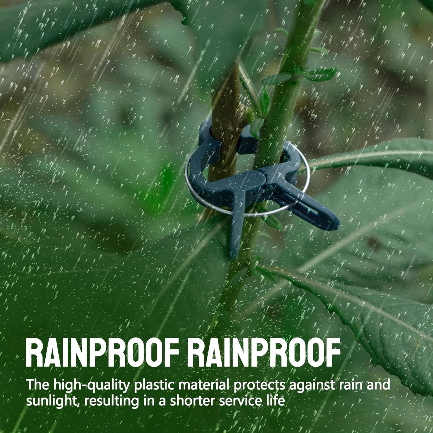 50 Green Pcs Large 2.36 inch Plant Support Clips, Flower and Vine, Tomato Plant Support Clips for Supporting Stems, Vines Grow Upright Climbing, Tool for Straightening, Trellis-VerdiqueGarden