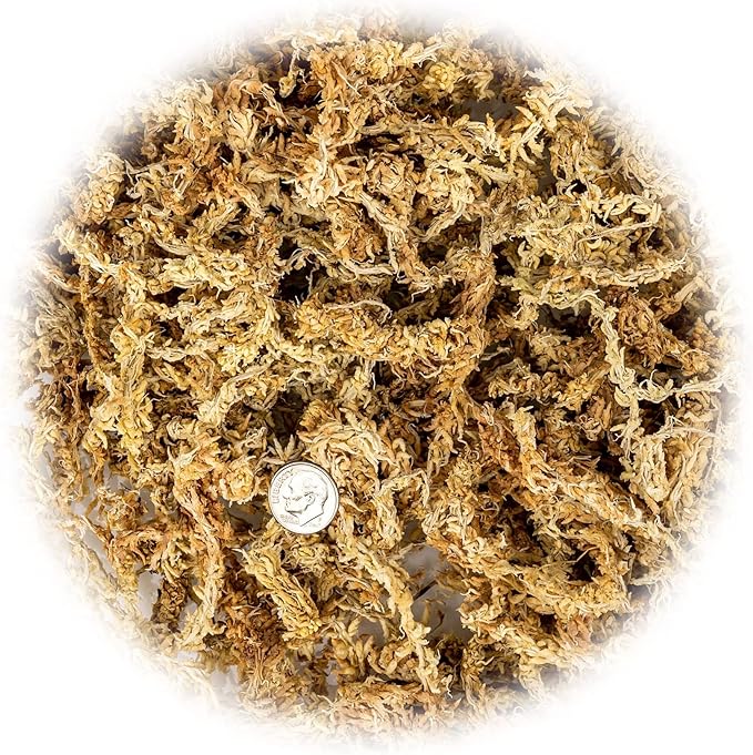 Premium Grade Sphagnum Moss by Gardenera - Organic Hand Mixed New Zealand Long Fibered Sphagnum Moss Orchid - 2 Quart-VerdiqueGarden