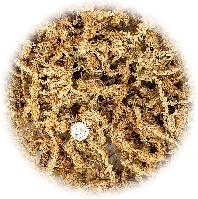 Premium New Zealand Sphagnum Moss by Gardenera - Organic Hand Mixed Long Fibered Sphagnum Moss Orchid - 3 Quart-VerdiqueGarden