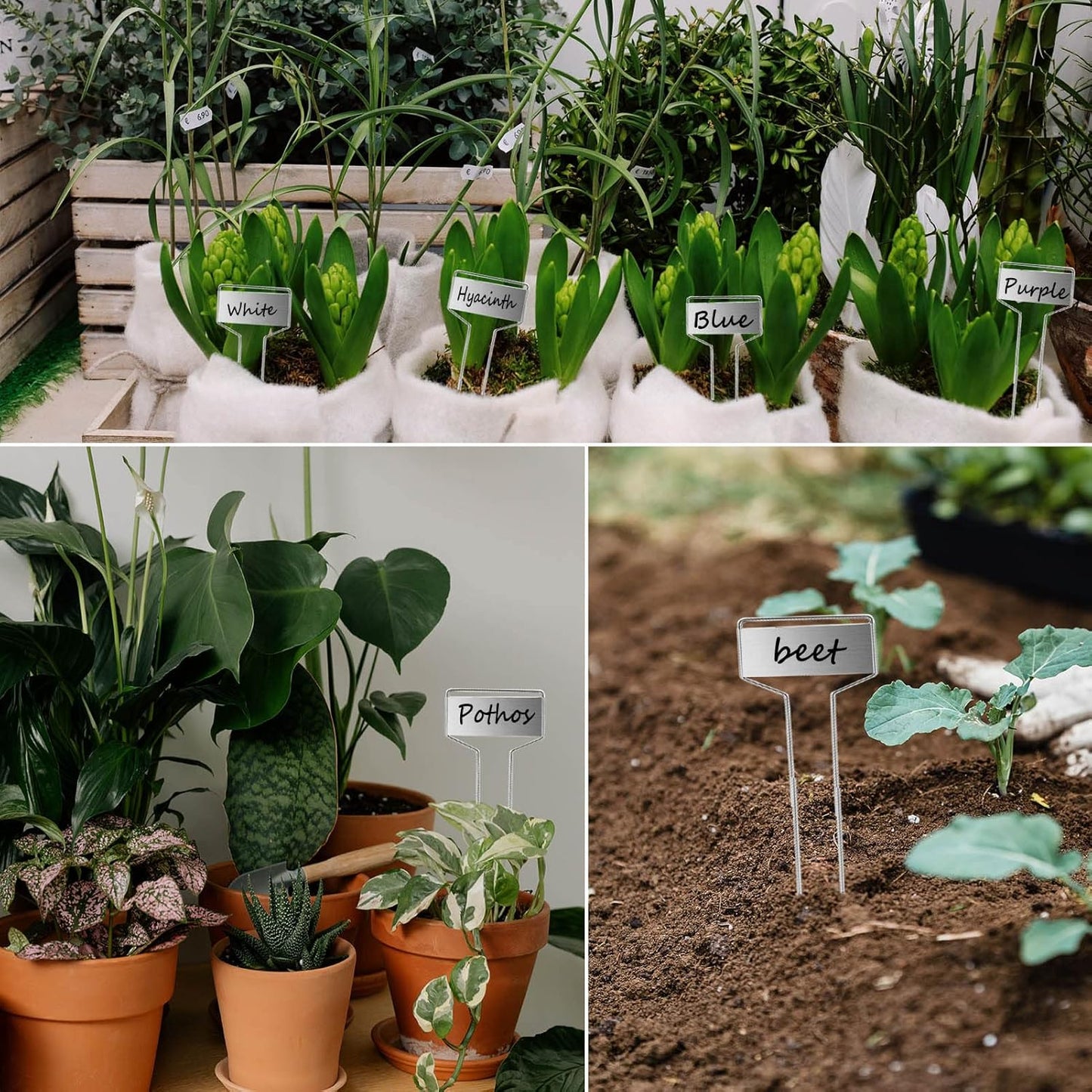 30pcs Plant Labels Plant Markers for Outdoor Plants 6inch Plant Labels for Seedlings Outdoor Garden Waterproof Plant Tags and Labels for Flower Vegetable Herbs Greenhouse (6 in, Silver)-VerdiqueGarden