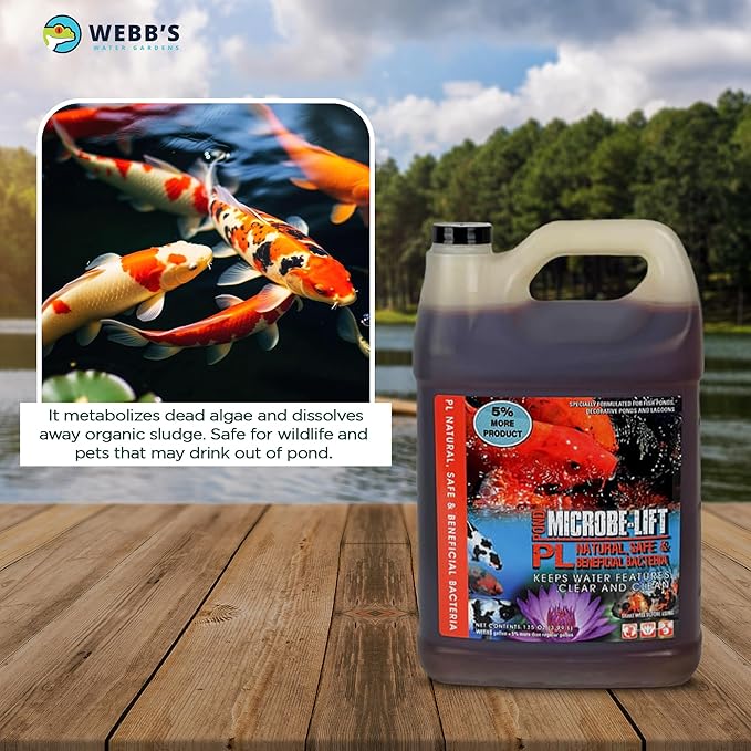 Webb's Water Gardens Microbe-Lift PL Beneficial Bacteria for Ponds and Water Features - Ideal for Wildlife and Aquatic Pets, 1.05 gallons-VerdiqueGarden