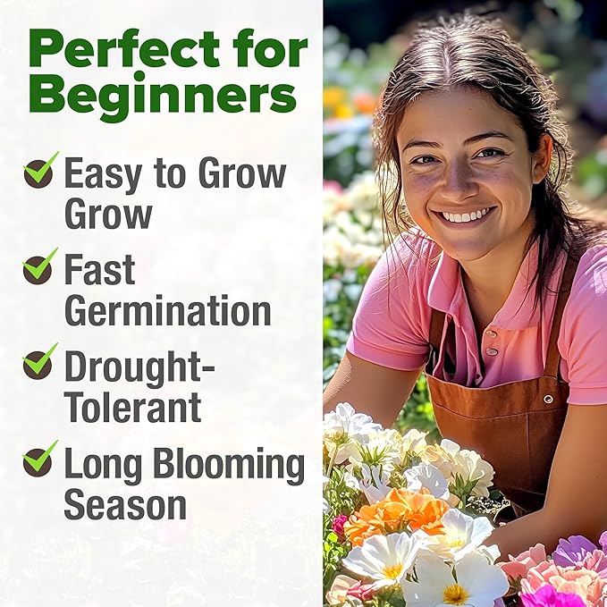 HOME GROWN 23,500+ Moss Rose Seeds (Bulk Pack) Annual Flower for Ground Cover - Heirloom 𝗡𝗢𝗡-𝗚𝗠𝗢 Portulaca Seeds for Planting Outdoors - Great for Low-Maintenance Gardens (Portulaca grandiflora)-VerdiqueGarden