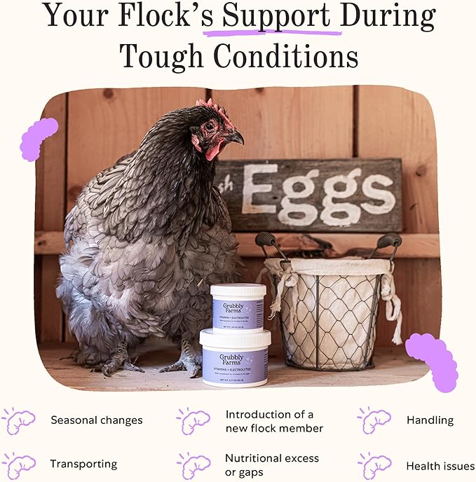 Grubbly Farms Vitamins + Electrolytes Water Supplement for Chickens (30 Day)-VerdiqueGarden