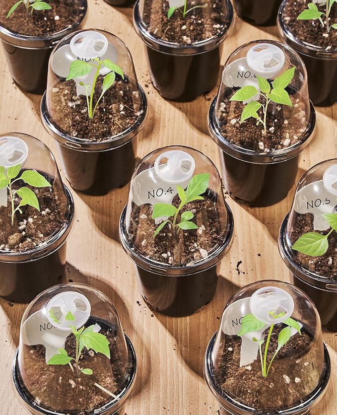 homenote Nursery Pots for Plants,3 Inch Plant Pot for Planting with Humidity Domes Plastic Seedling with Drainage Holes Seed Starter Flower with 10 Labels Black (30 Pack)-VerdiqueGarden