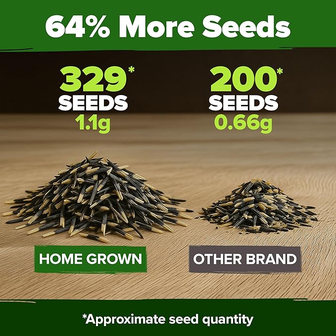 HOME GROWN 𝗨𝗦𝗔 𝗣𝗥𝗘𝗠𝗜𝗨𝗠 Petite French Marigold Seeds 329+ Flower Seeds for Planting Outdoors Easy to Grow Companion Plant & Quick Blooming Pollinator Heirloom Wildflower Seed (Tagetes patula)-VerdiqueGarden