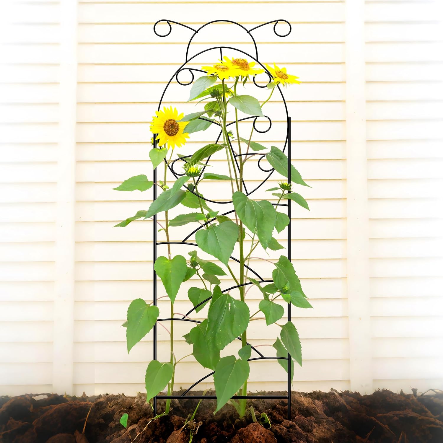 ARIFARO Garden Trellis 56″ H x16″ W (Pack of 4) Metal Climbing Plant Trellis Outdoor/Indoor Sturdy Flower Trellis for Climbing Vines, Rose, Potted Plants-VerdiqueGarden